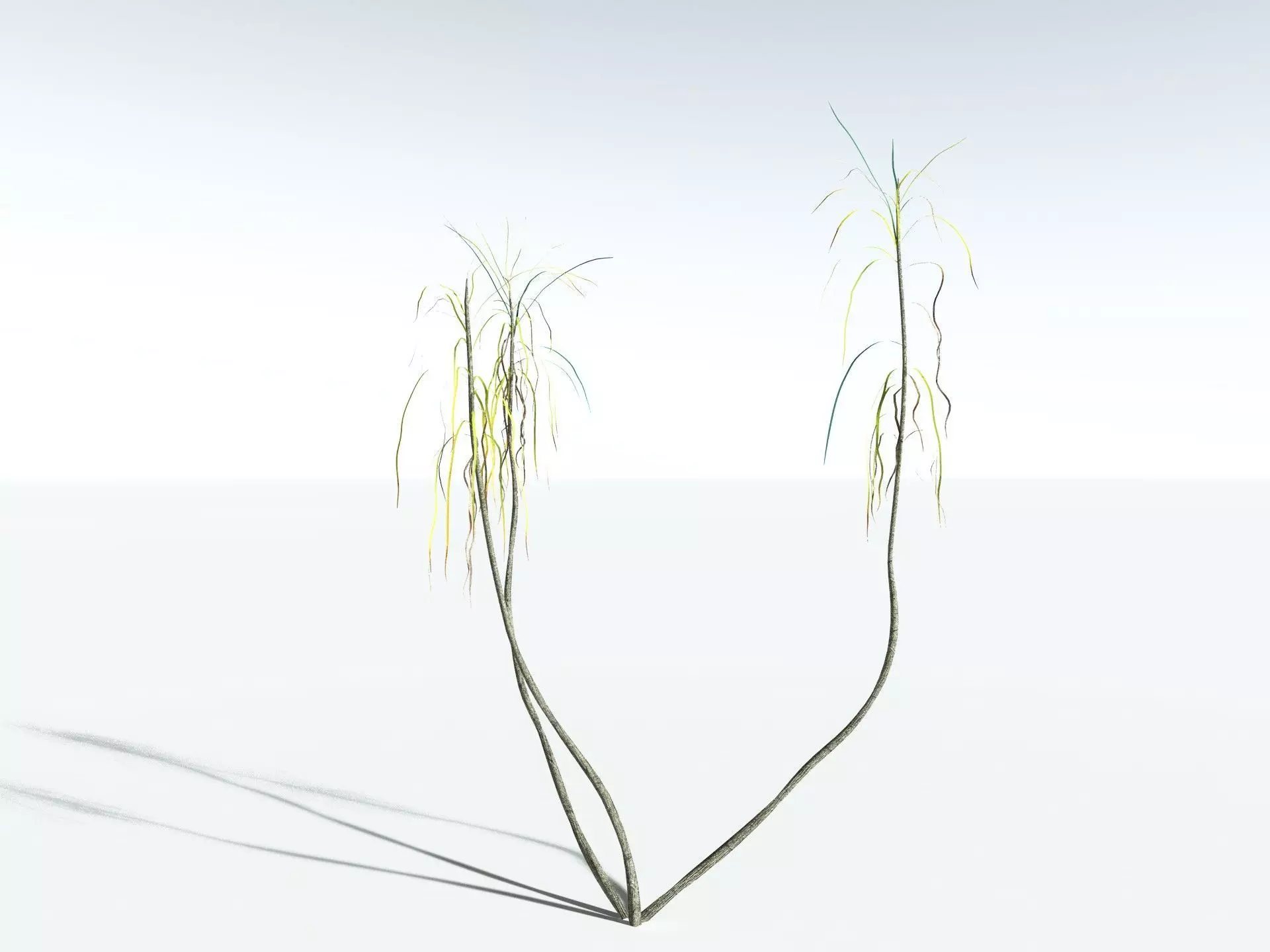 EVERYPlant Scrub Breadfruit LowPoly Low-poly 3D model_16