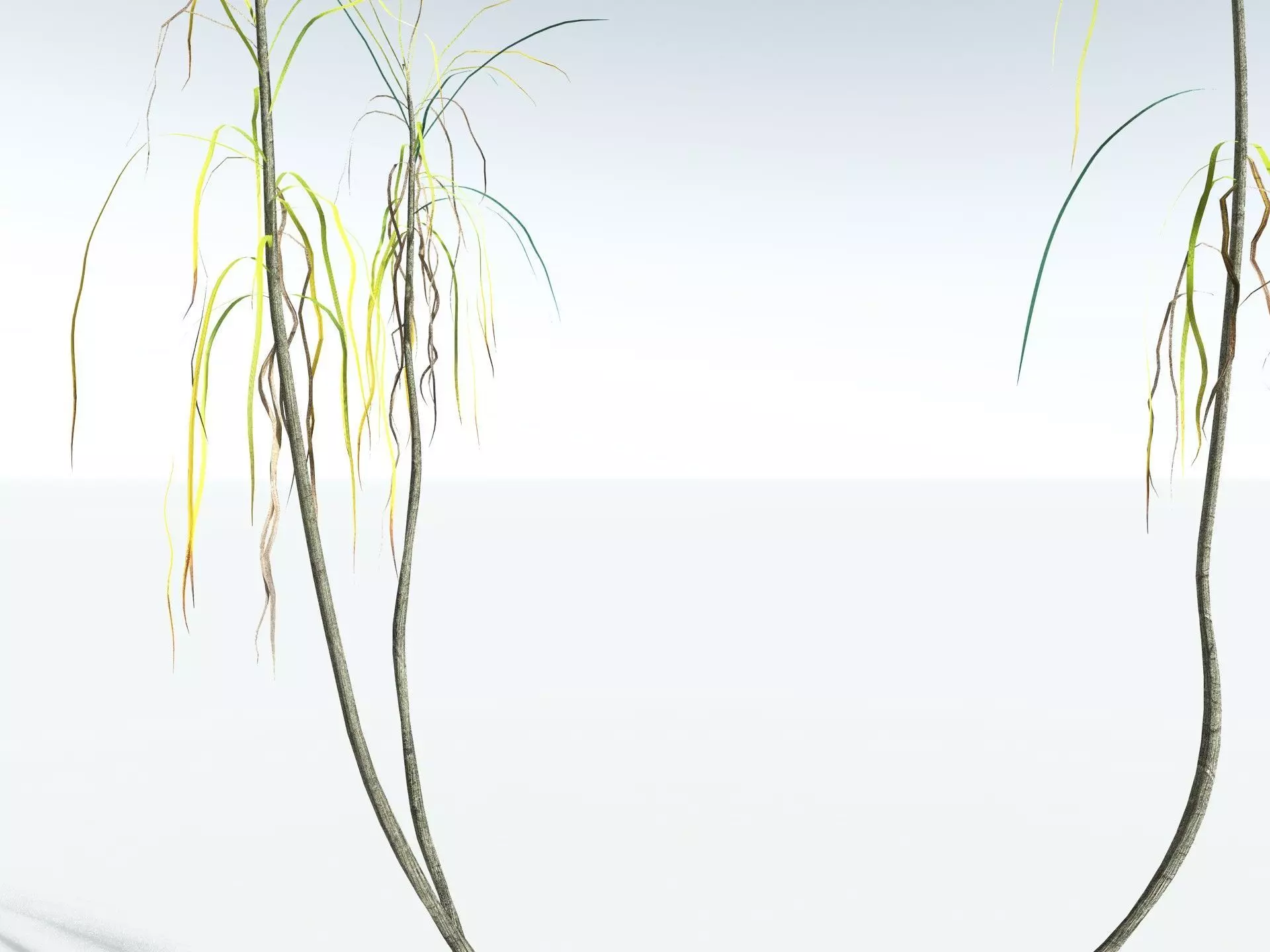 EVERYPlant Scrub Breadfruit LowPoly Low-poly 3D model_17