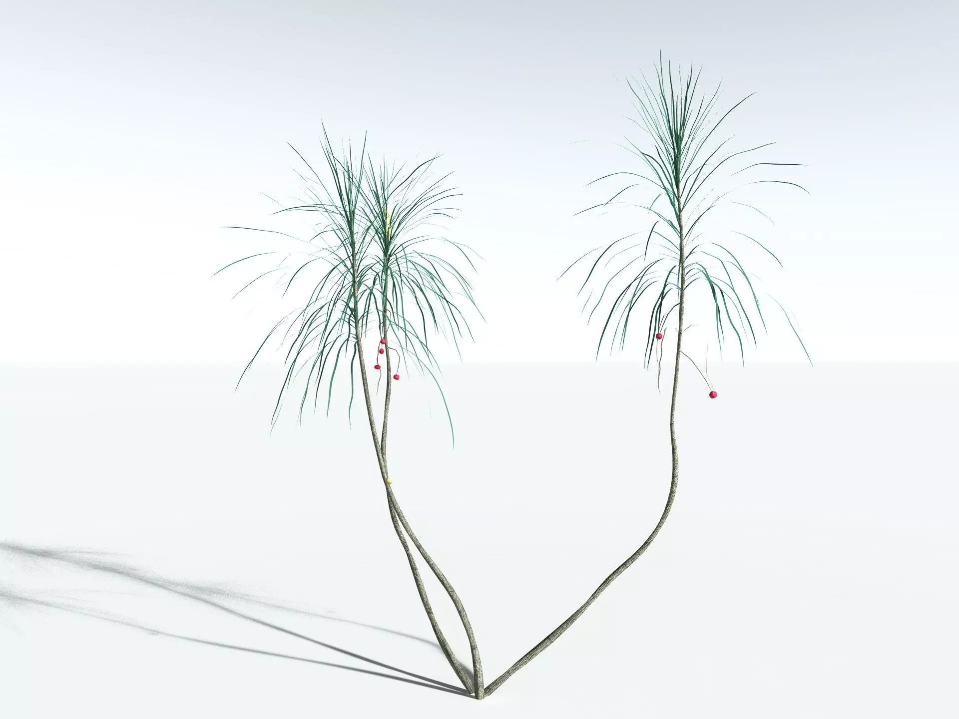 EVERYPlant Scrub Breadfruit LowPoly Low-poly 3D model_6