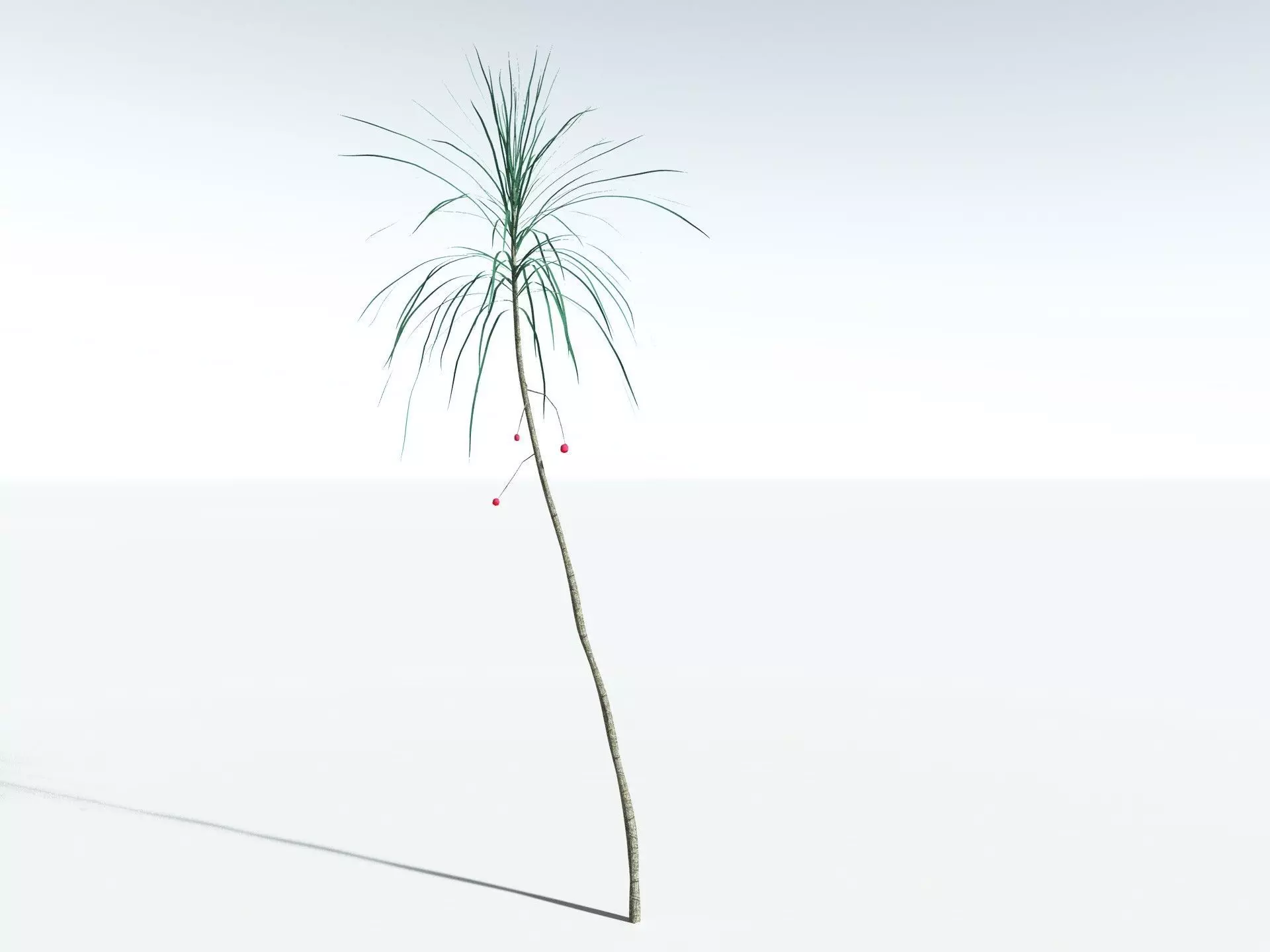 EVERYPlant Scrub Breadfruit LowPoly Low-poly 3D model_32