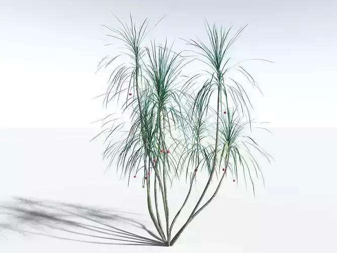 EVERYPlant Scrub Breadfruit LowPoly