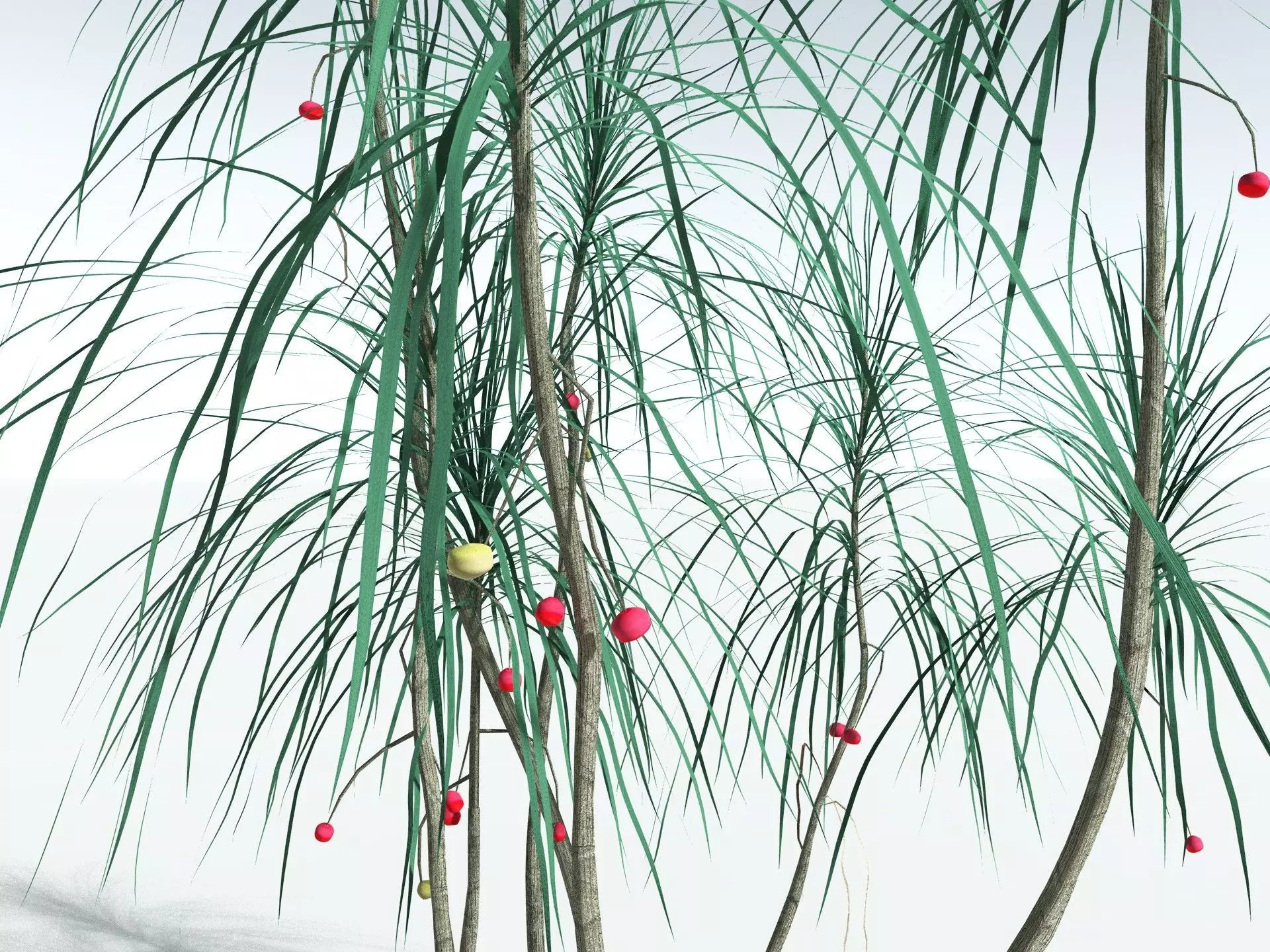 EVERYPlant Scrub Breadfruit LowPoly Low-poly 3D model_11