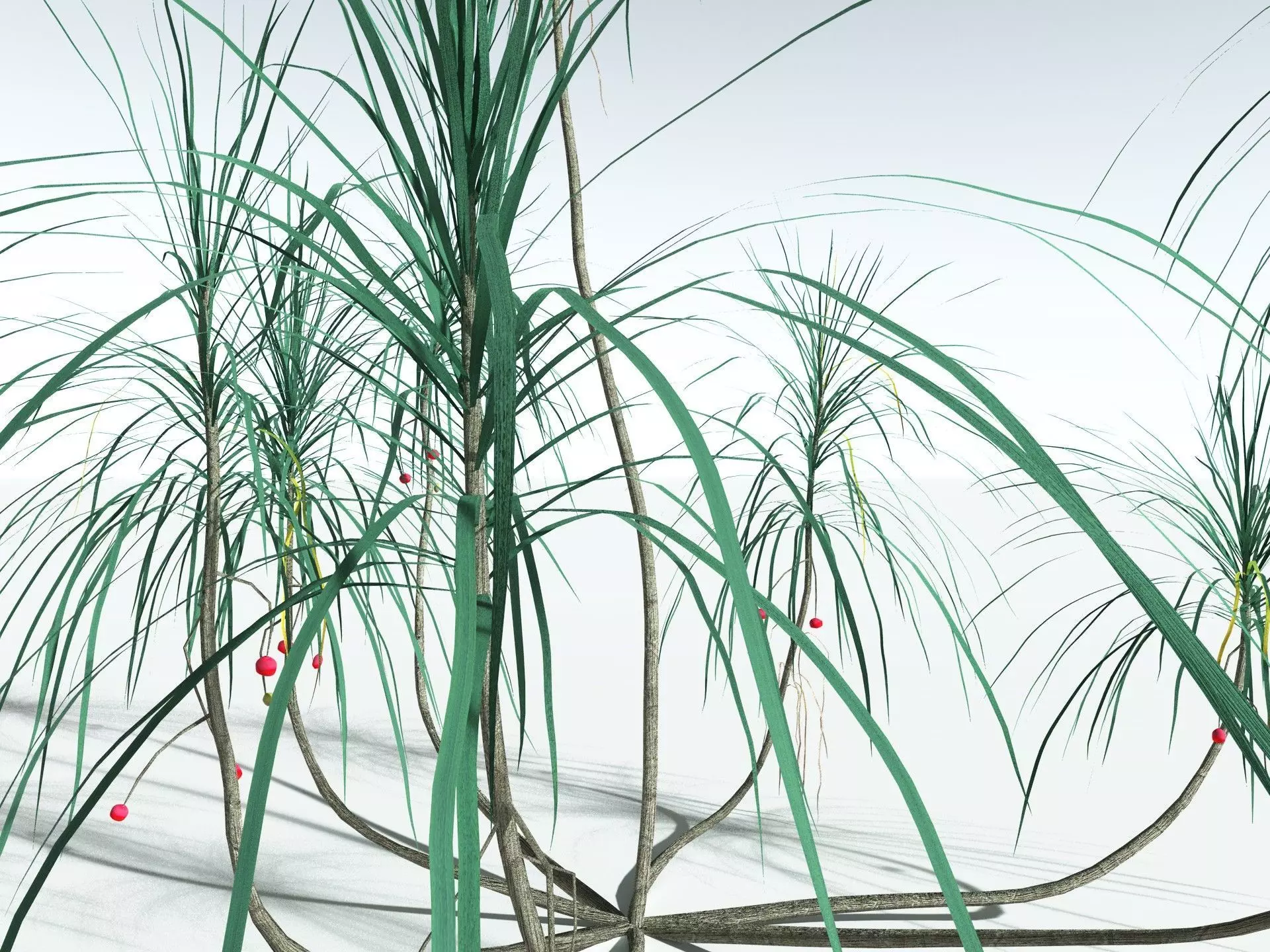 EVERYPlant Scrub Breadfruit LowPoly Low-poly 3D model_21