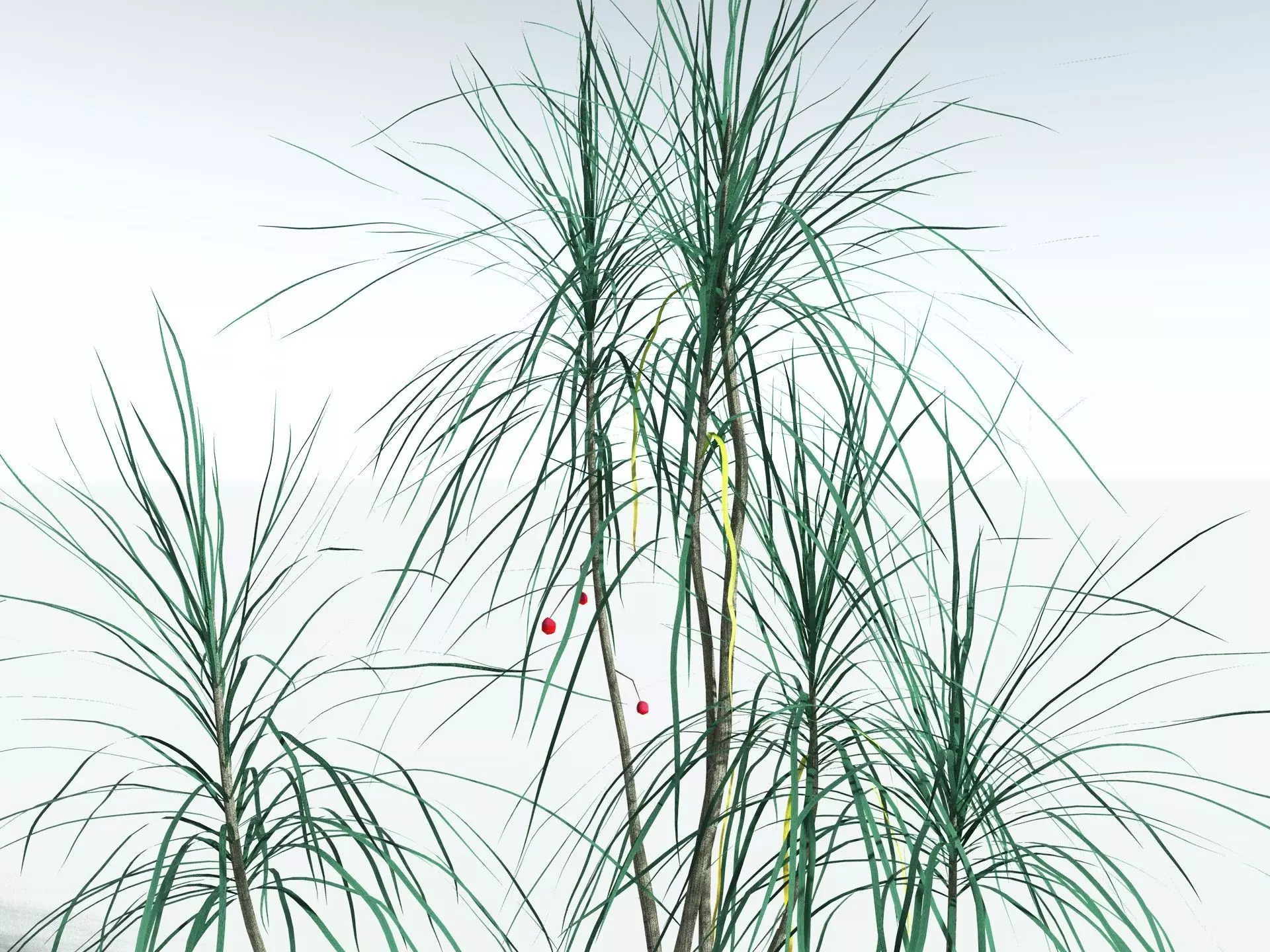 EVERYPlant Scrub Breadfruit LowPoly Low-poly 3D model_23