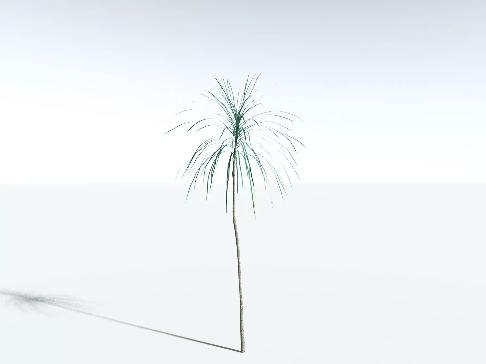 EVERYPlant Scrub Breadfruit LowPoly Low-poly 3D model_34