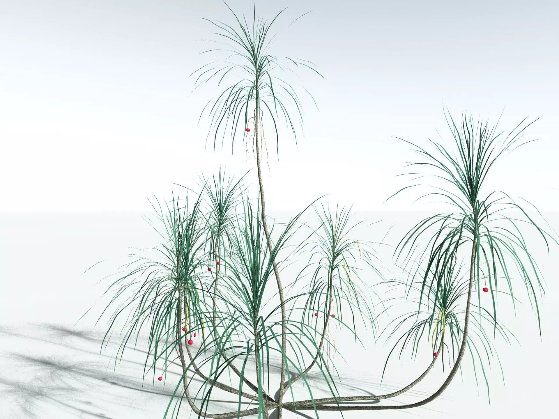 EVERYPlant Scrub Breadfruit LowPoly Low-poly 3D model_20