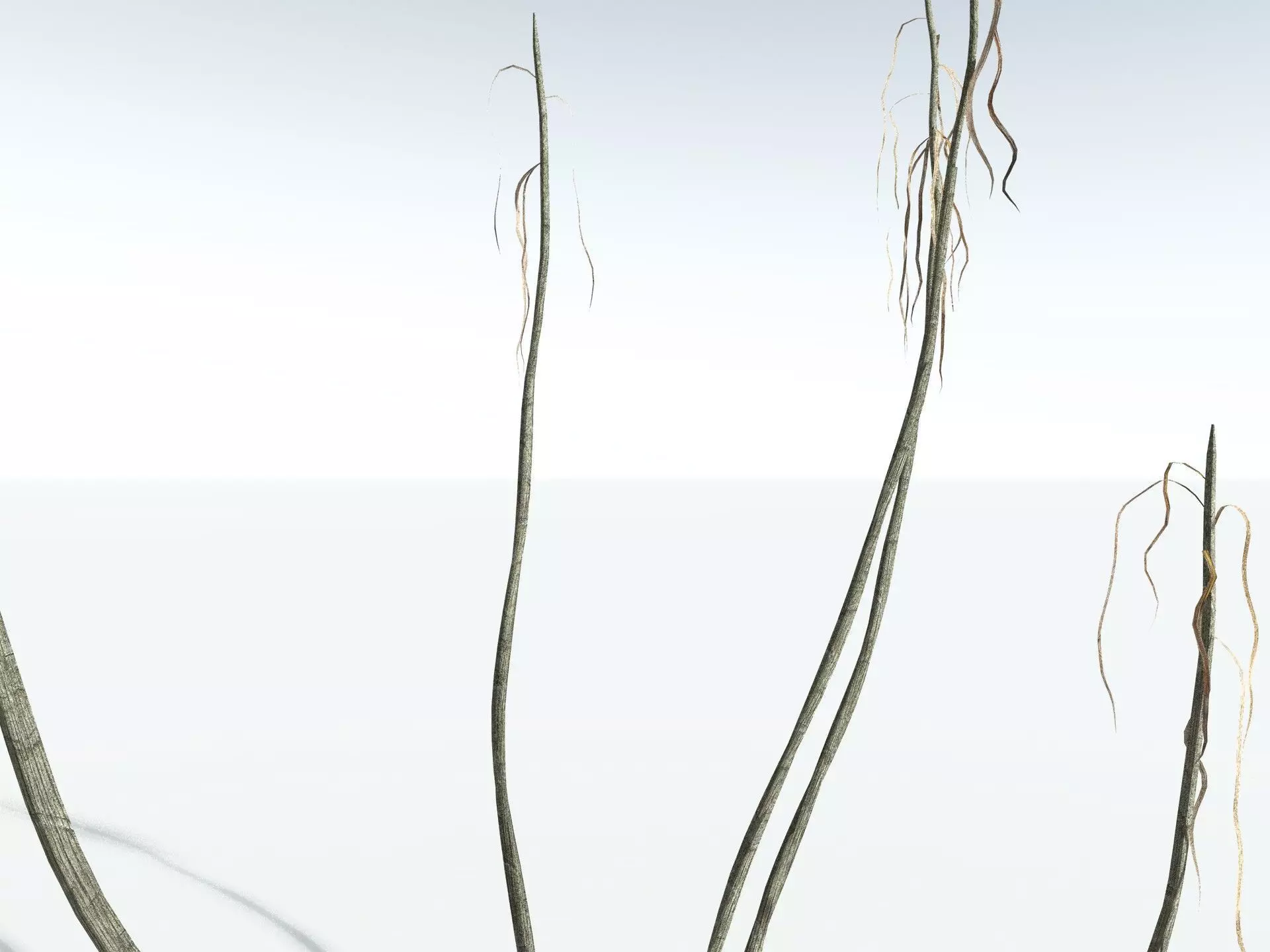 EVERYPlant Scrub Breadfruit LowPoly Low-poly 3D model_19