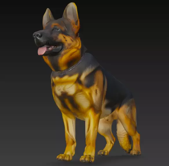German Shepherd Dog 3d Model 3D model_5