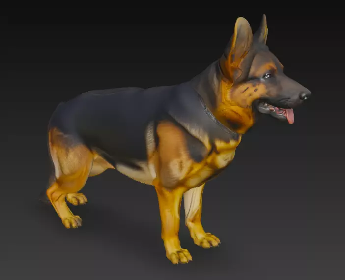 German Shepherd Dog 3d Model 3D model_4