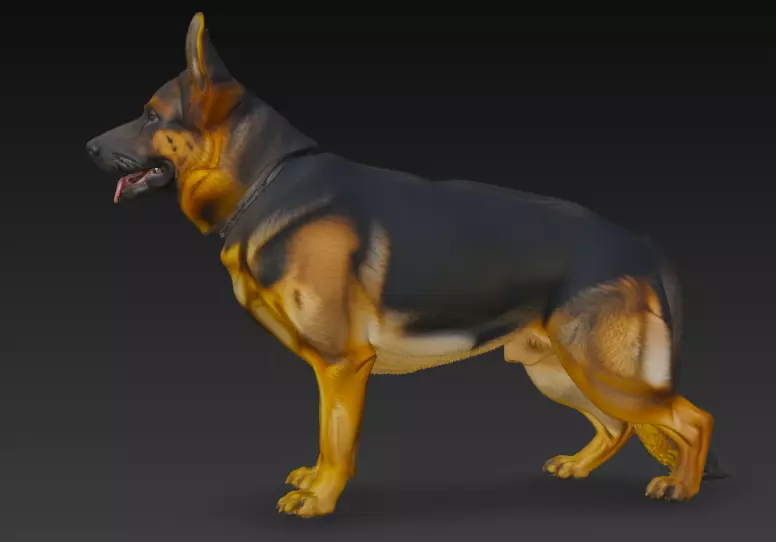 German Shepherd Dog 3d Model 3D model_2