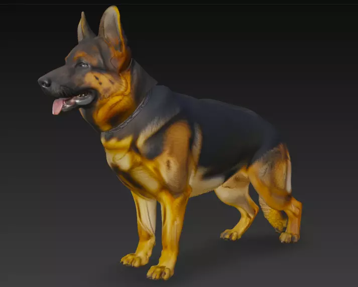 German Shepherd Dog 3d Model 3D model_0