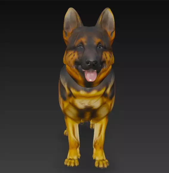German Shepherd Dog 3d Model 3D model_1