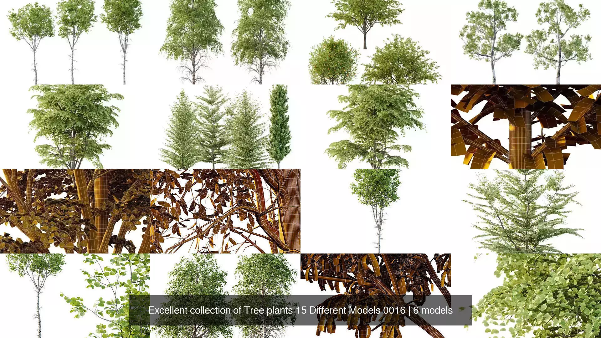 Excellent collection of Tree plants 15 Different Models 0016 _1
