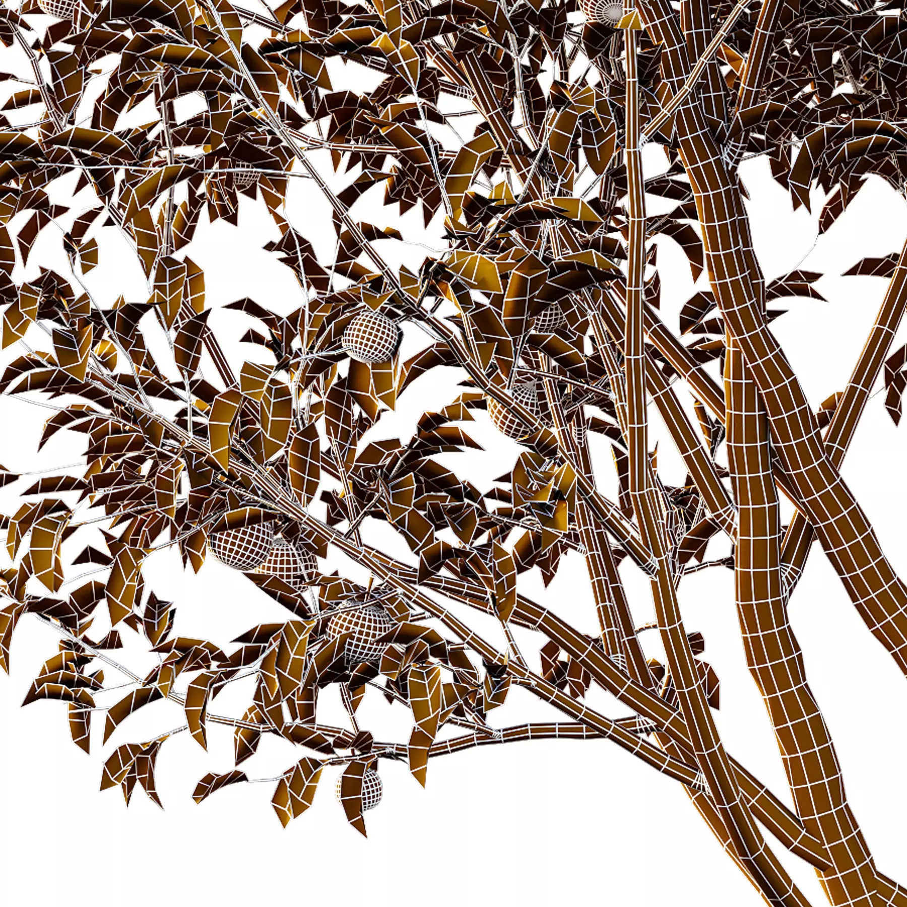 Excellent collection of Tree plants 15 Different Models 0016 _24