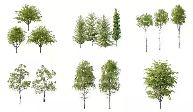 Excellent collection of Tree plants 15 Different Models 0016  Excellent collection of Tree plants 15 Different Models 0016