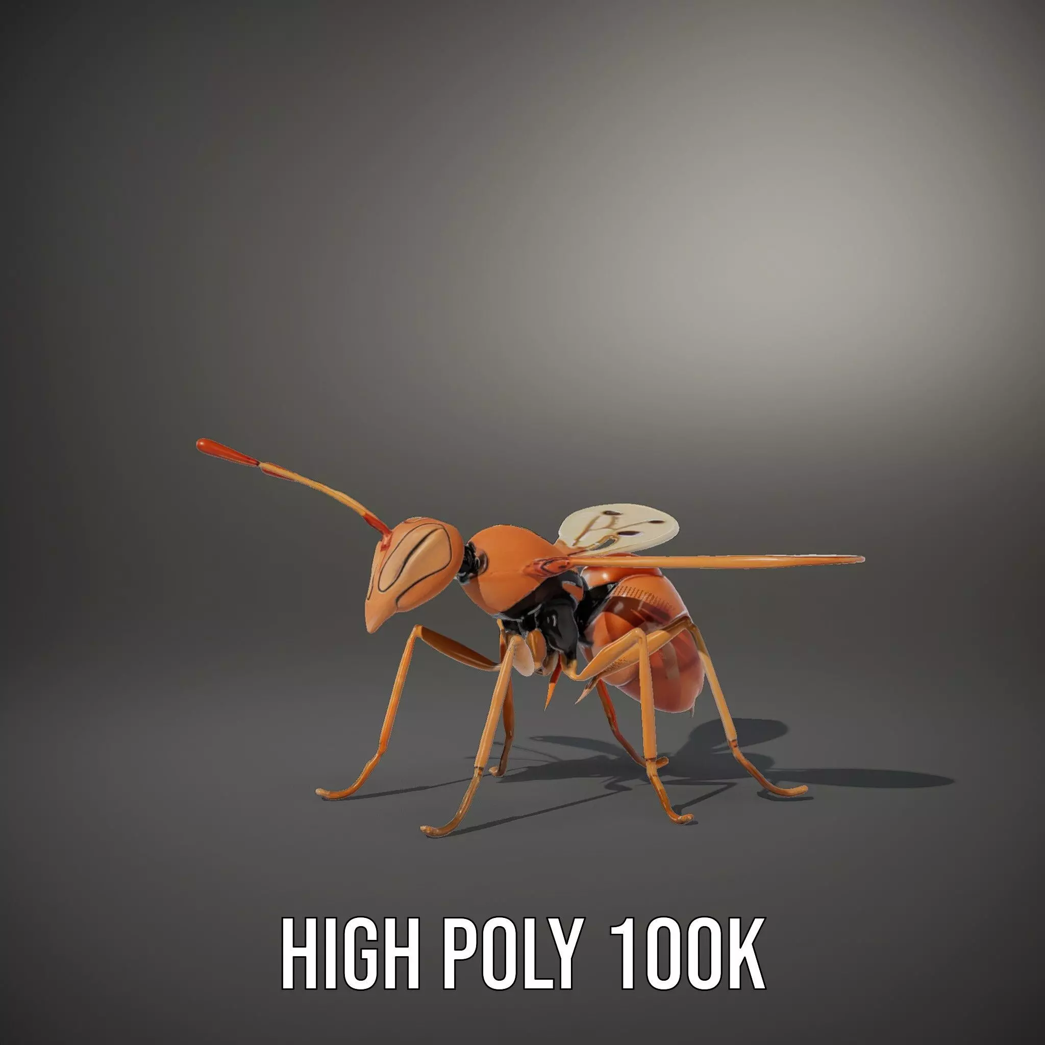 Copper Insect Drone model pack Low-poly 3D model_11
