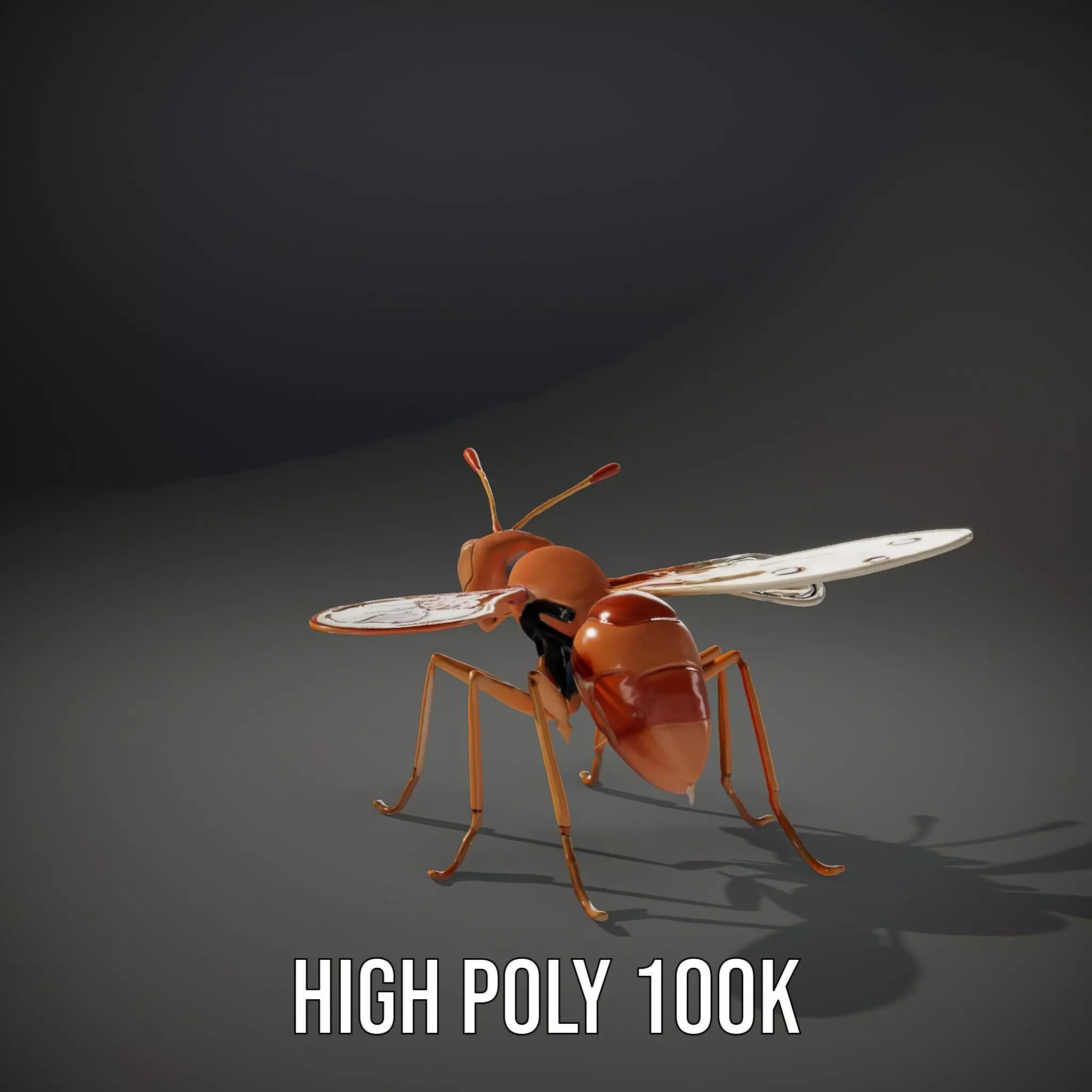 Copper Insect Drone model pack Low-poly 3D model_9