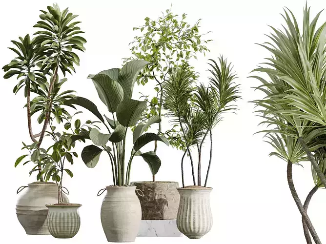 AV Indoor Plants Set 392