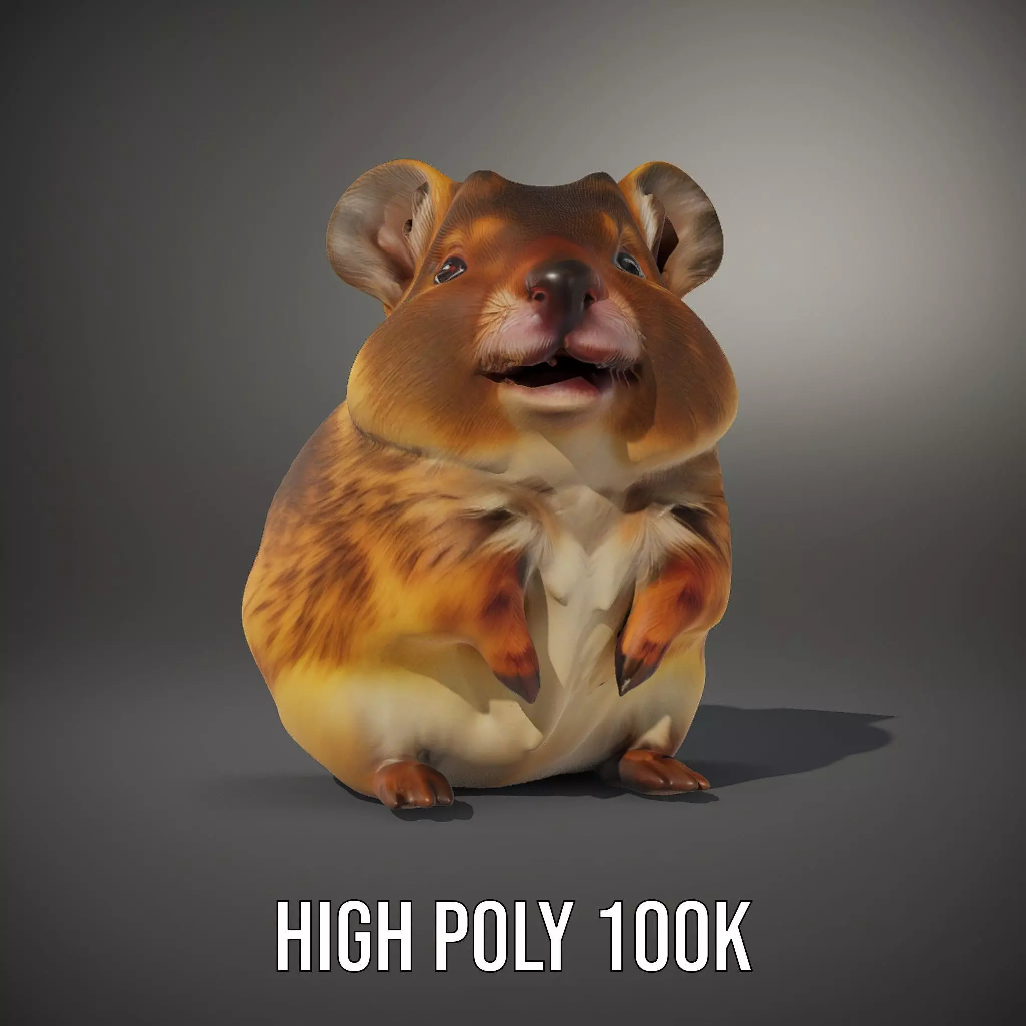 Cute Hamster Character model pack Low-poly 3D model_11