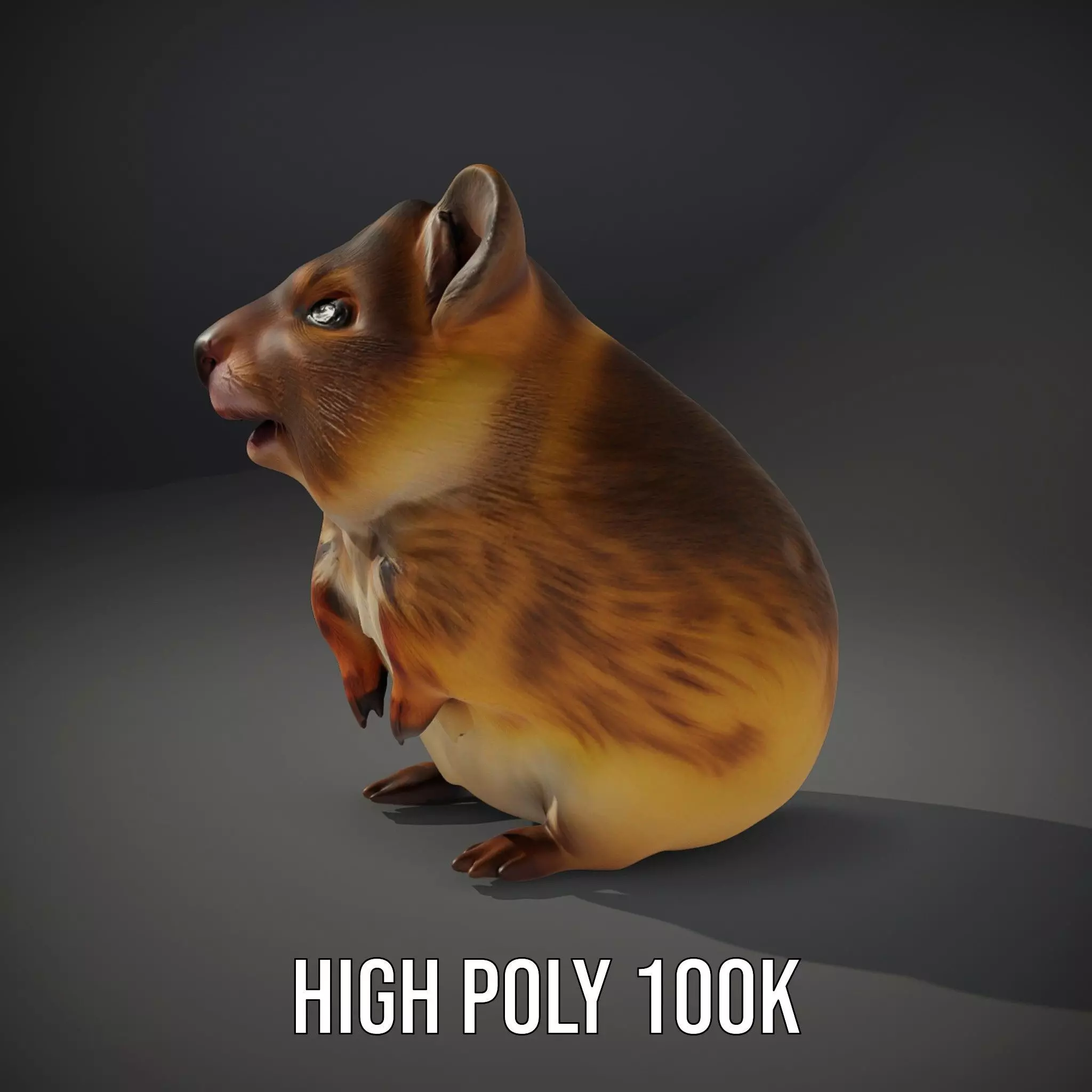 Cute Hamster Character model pack Low-poly 3D model_9