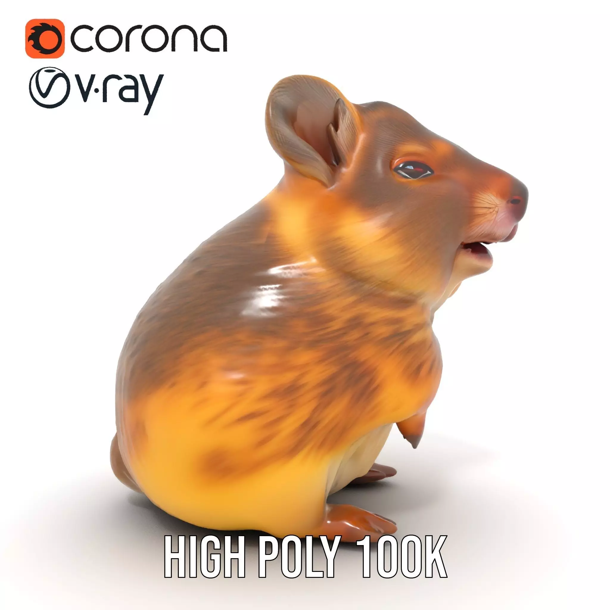 Cute Hamster Character model pack Low-poly 3D model_30
