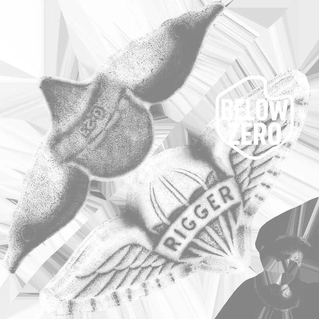 Paratrooper Rigger Wings Badge Low-poly 3D model_7