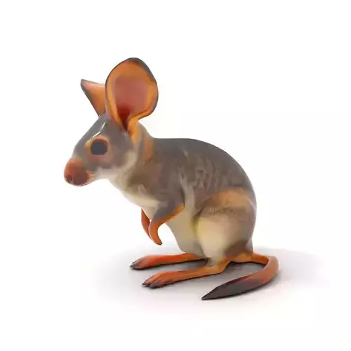 Cute Desert Bilby model pack