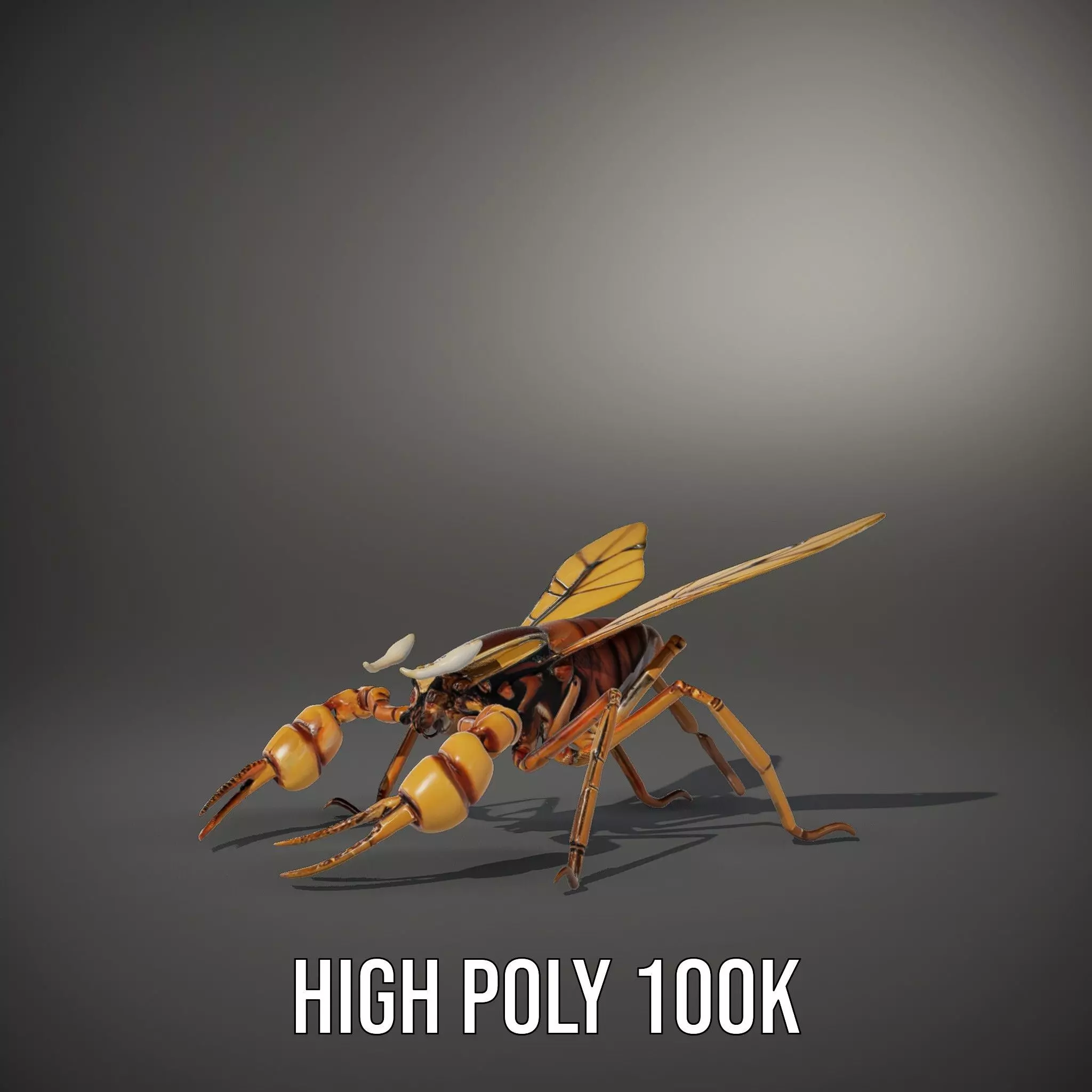 Golden Mechanical Wasp model pack Low-poly 3D model_11