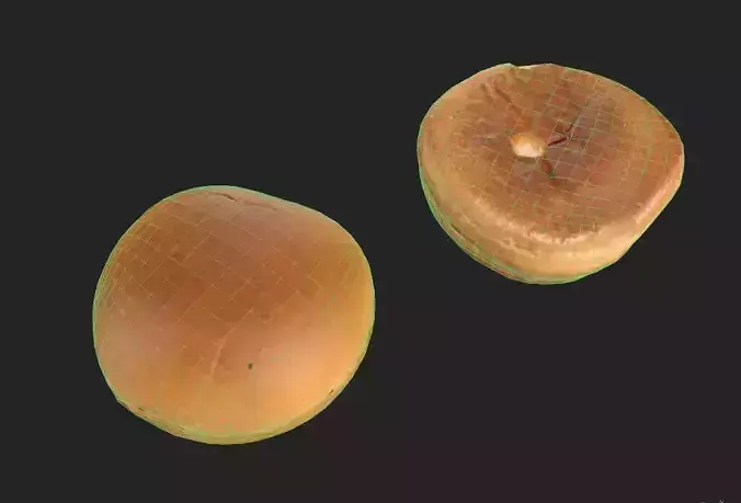 Hamburger Bun M01 Low-poly 3D model 2