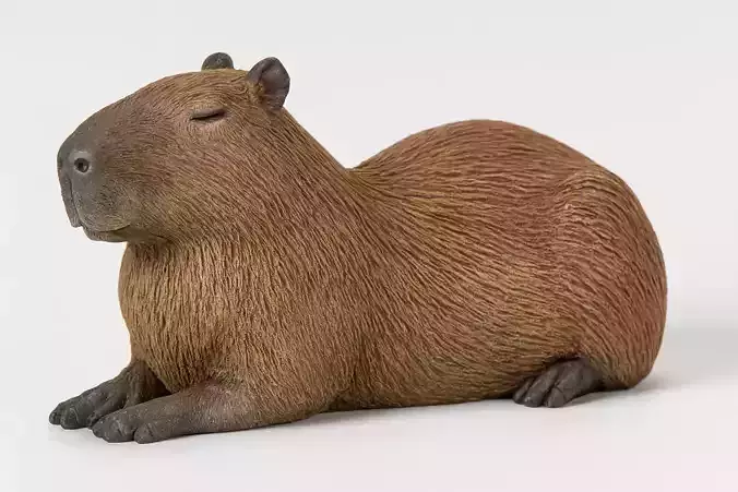 Capybara Low-poly 3D model