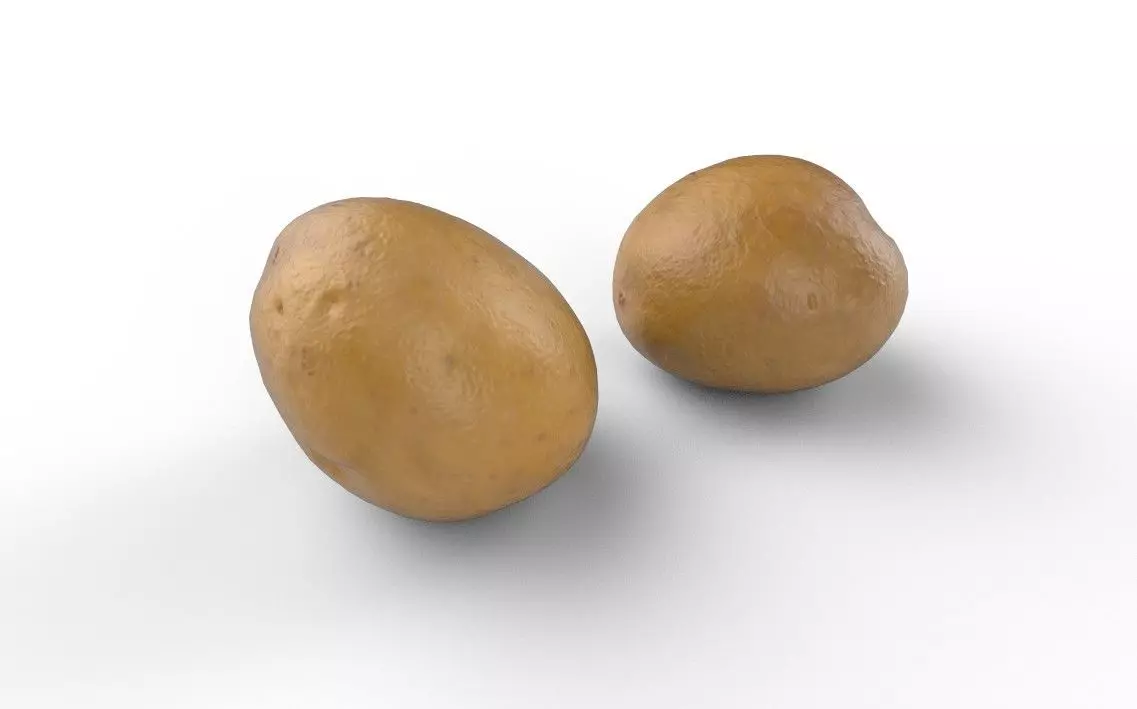 Patato M01 Low-poly 3D model_0