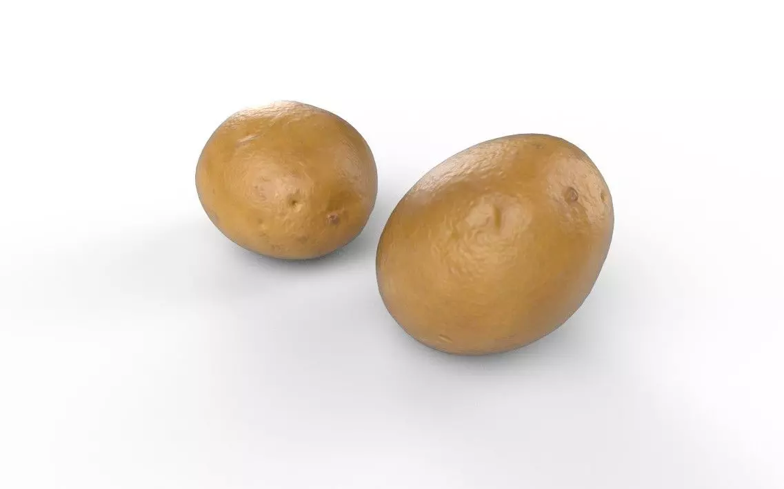 Patato M01 Low-poly 3D model_5