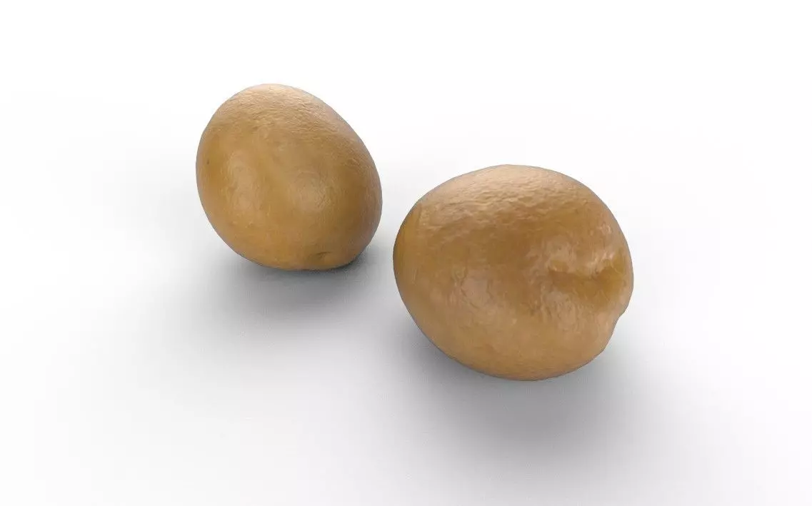 Patato M01 Low-poly 3D model_3