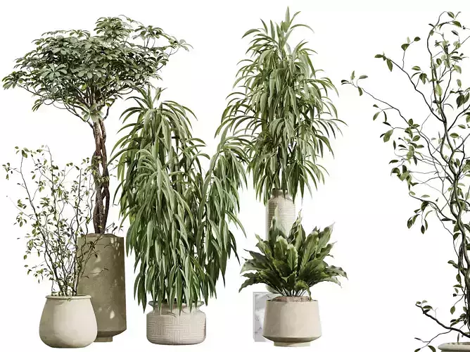 AV Indoor Plants Set 393 Spathiphyllum Ficus Schefflera Japandi