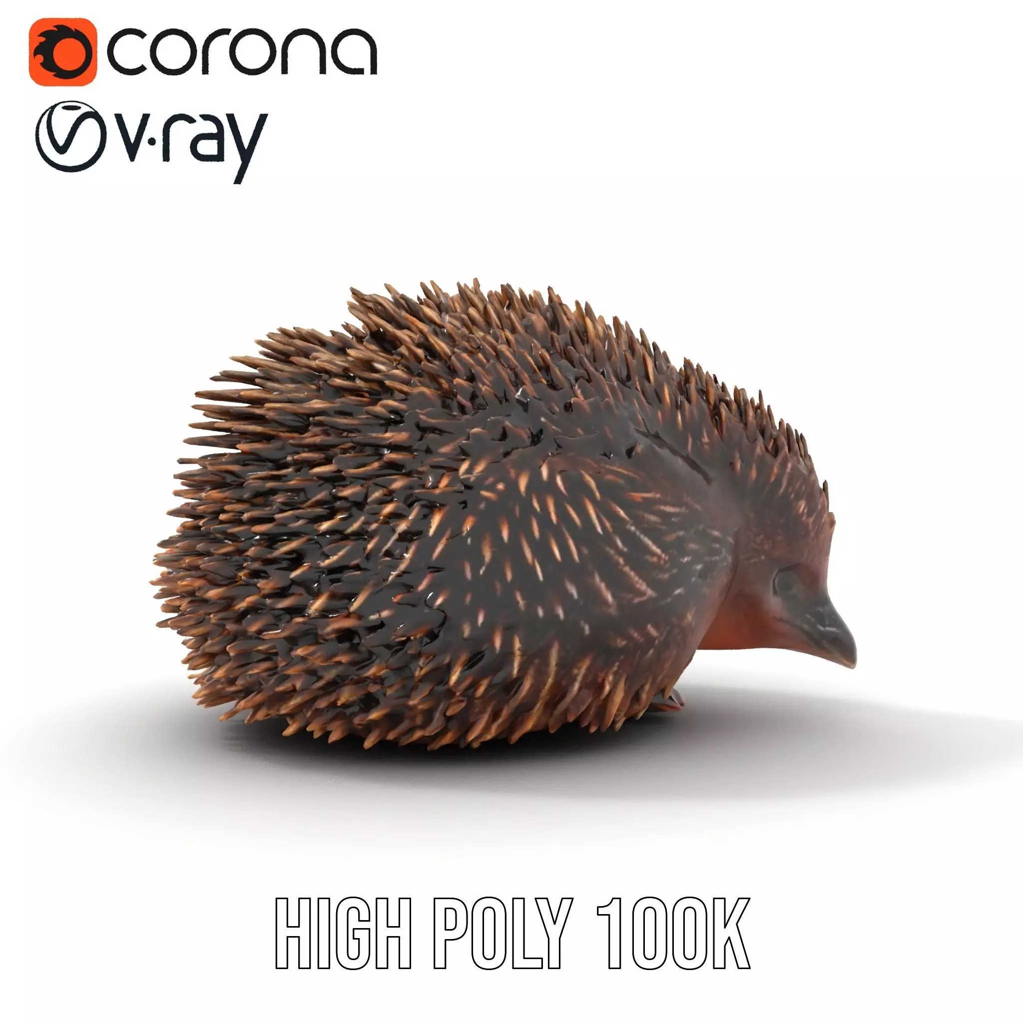 Spiky Echidna model pack Low-poly 3D model_16