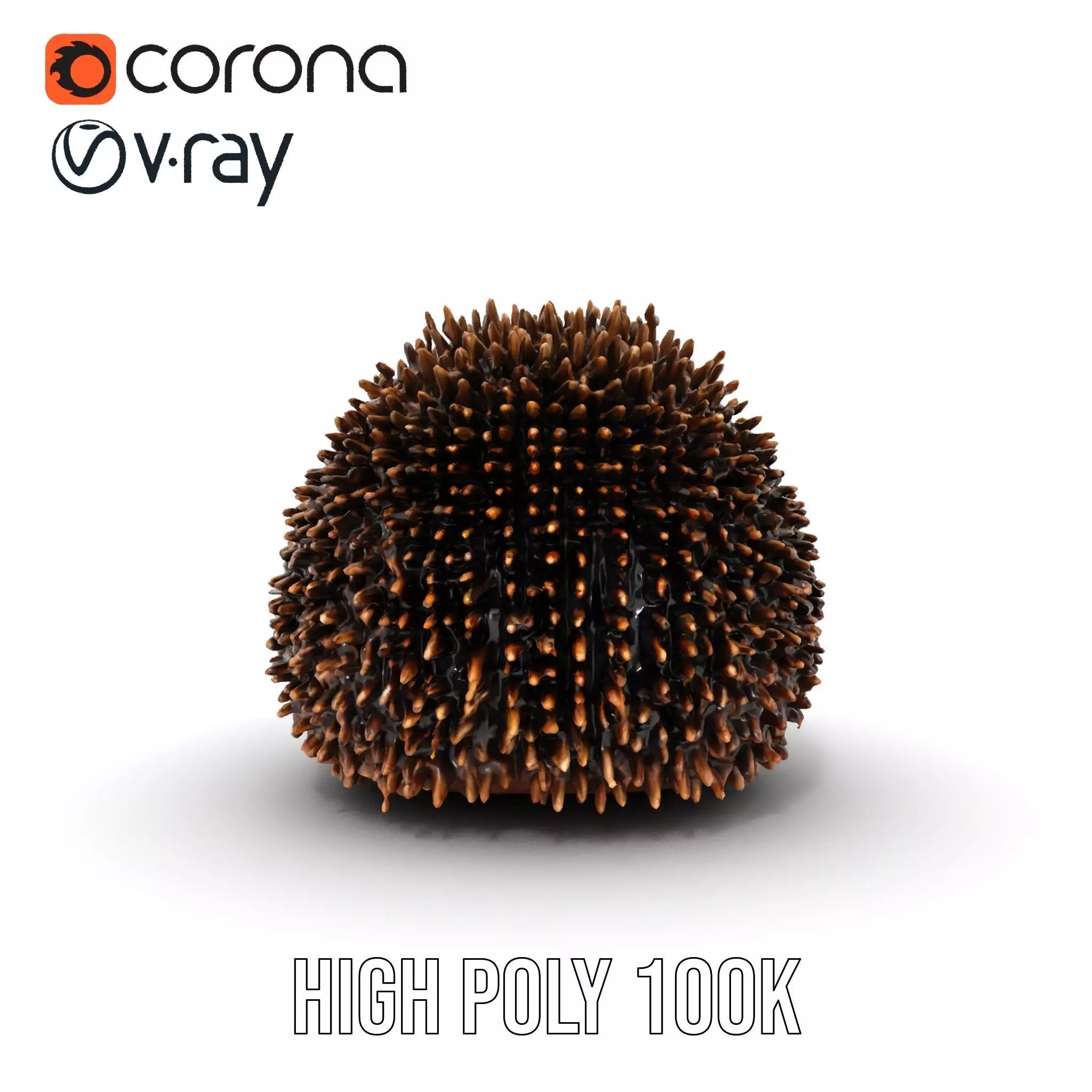 Spiky Echidna model pack Low-poly 3D model_6