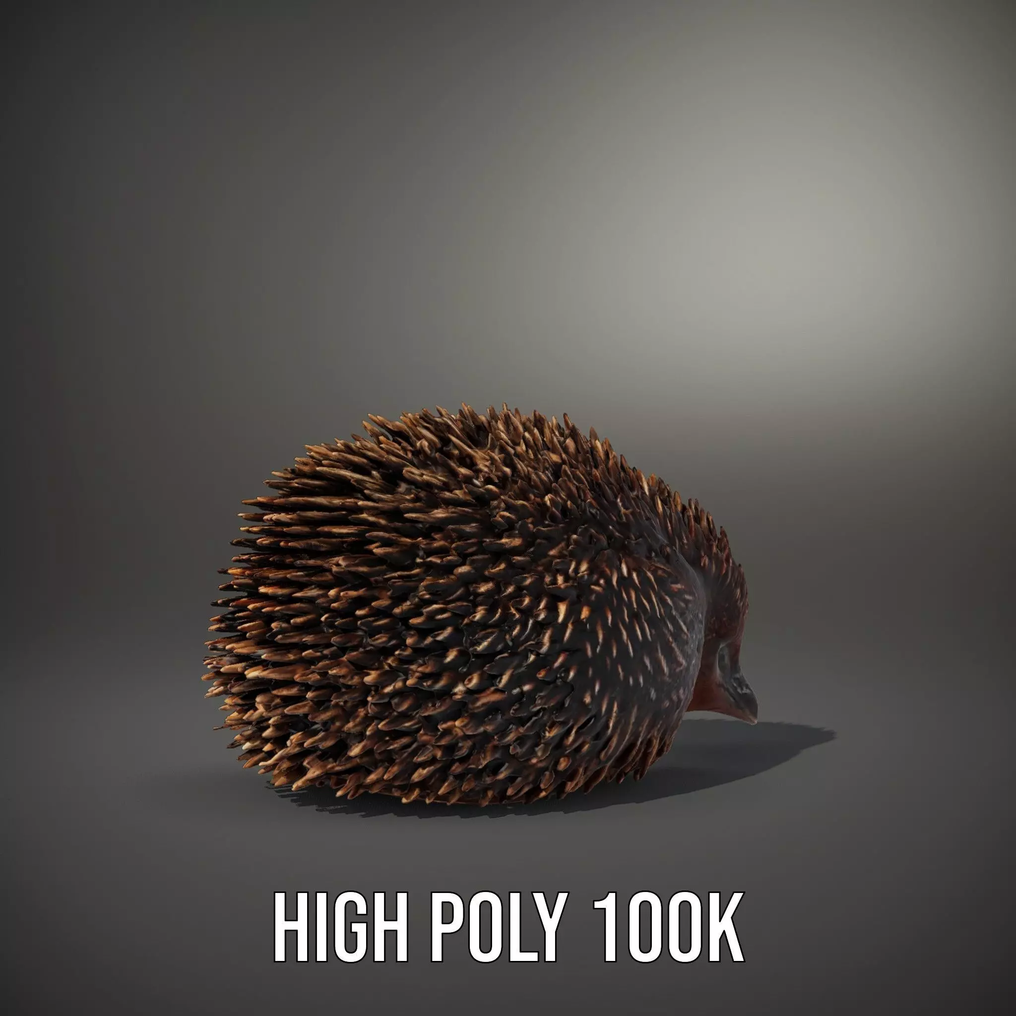 Spiky Echidna model pack Low-poly 3D model_9