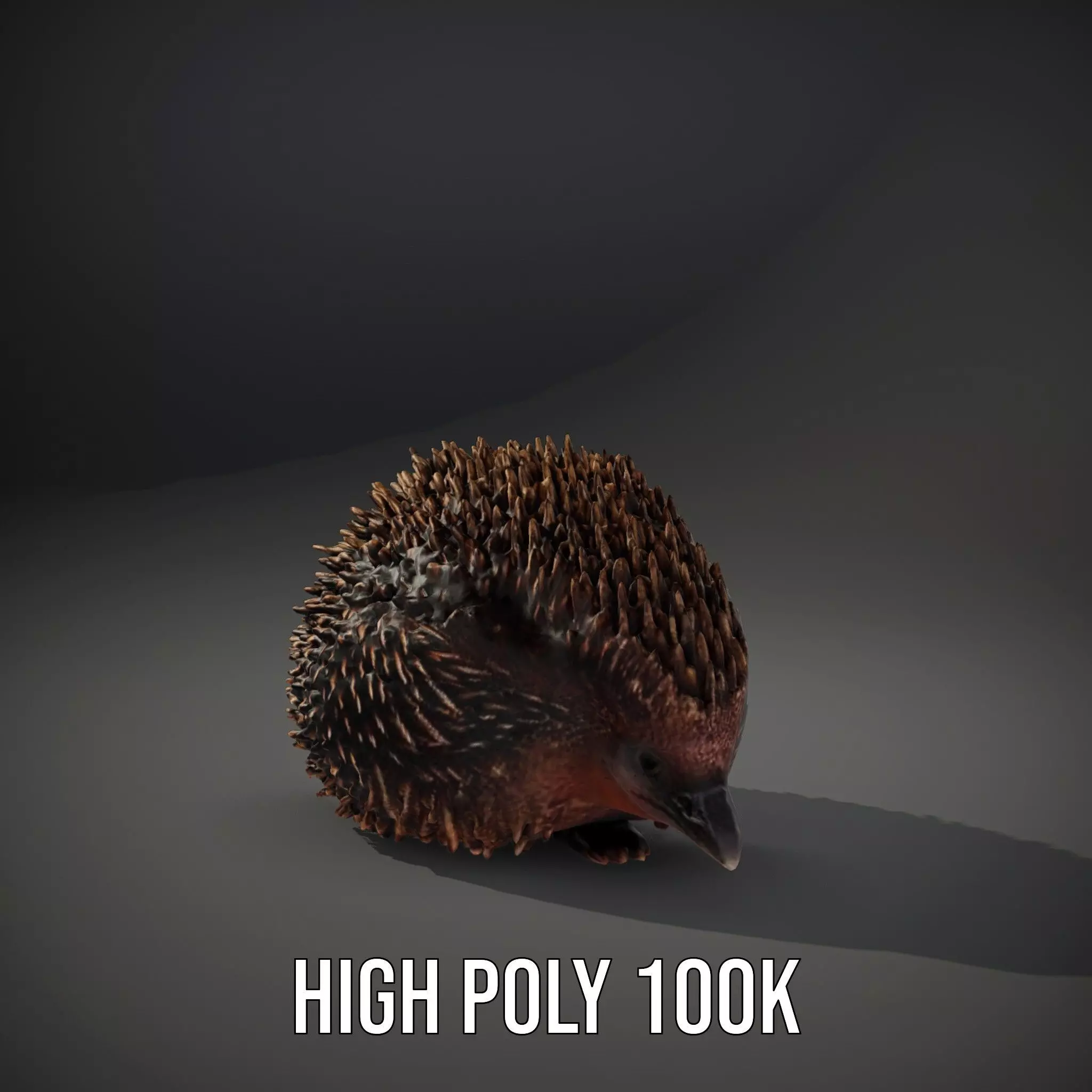 Spiky Echidna model pack Low-poly 3D model_11