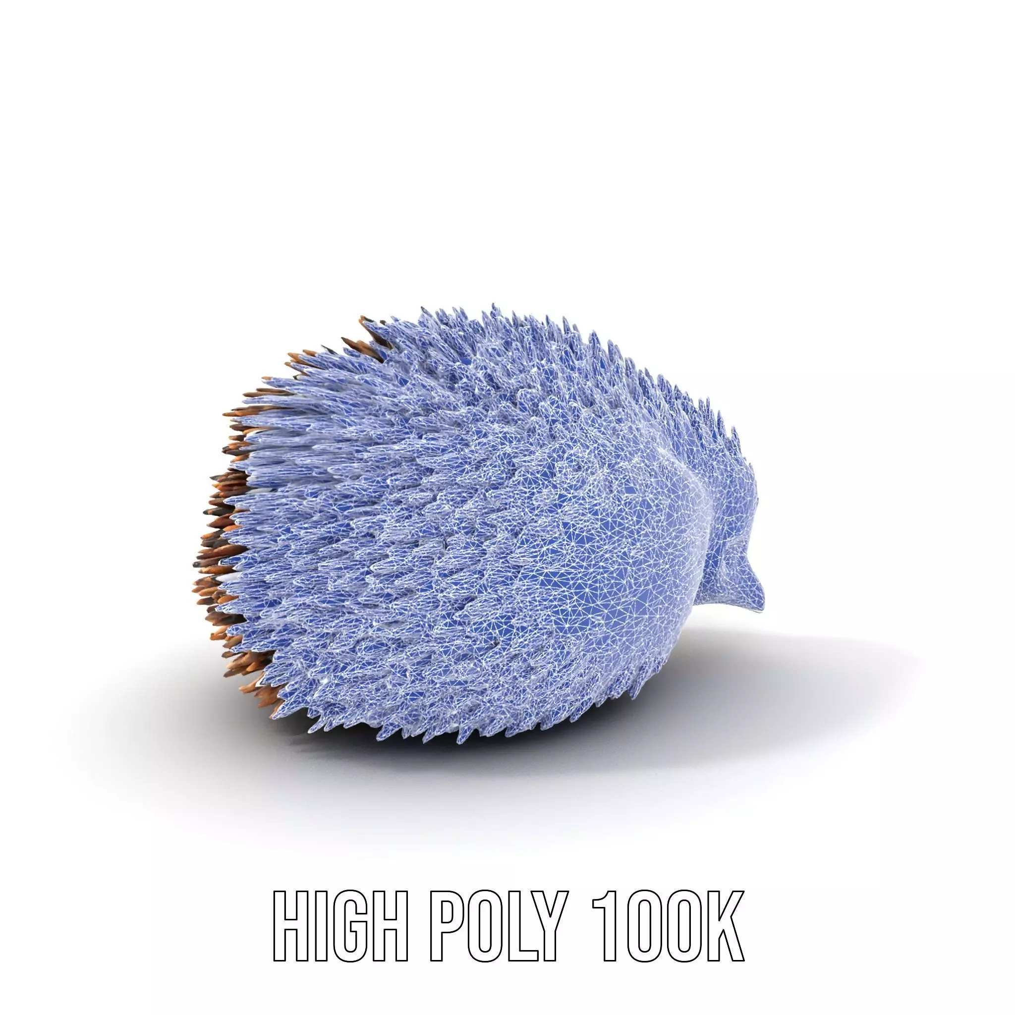 Spiky Echidna model pack Low-poly 3D model_10
