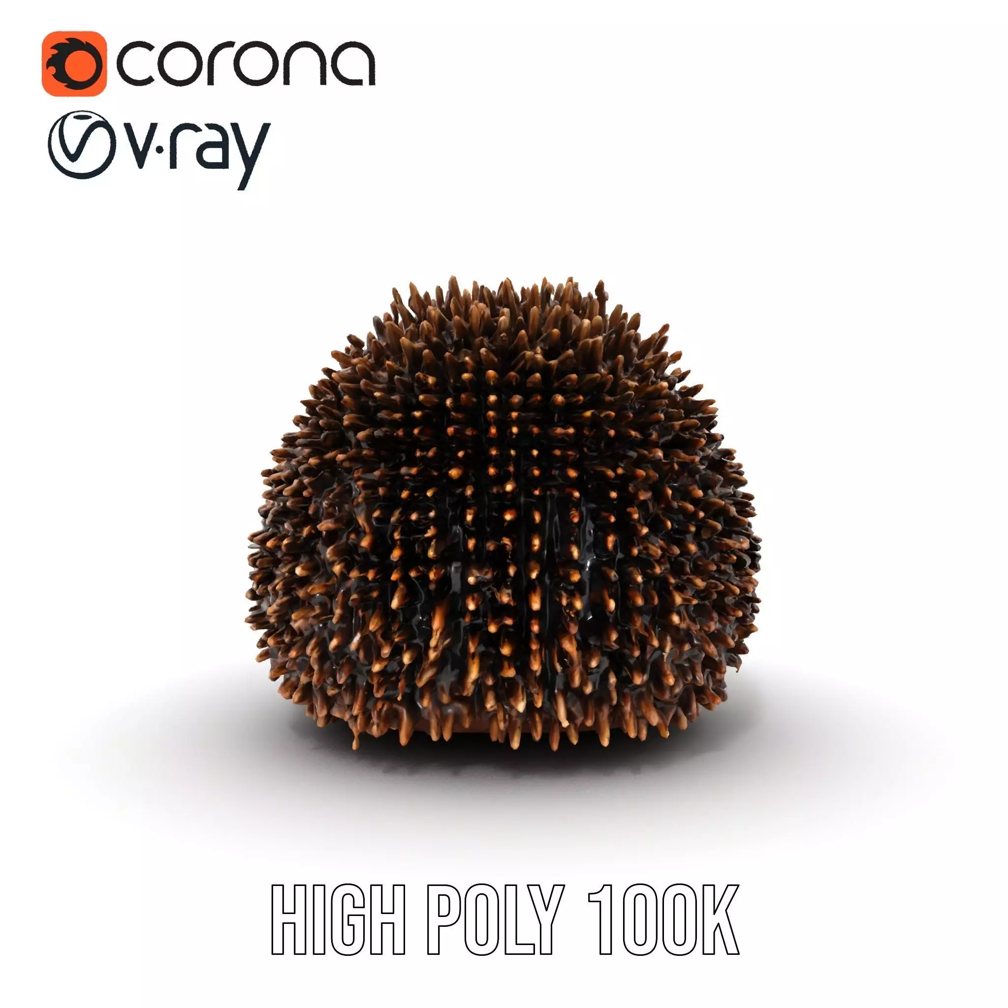 Spiky Echidna model pack Low-poly 3D model_20