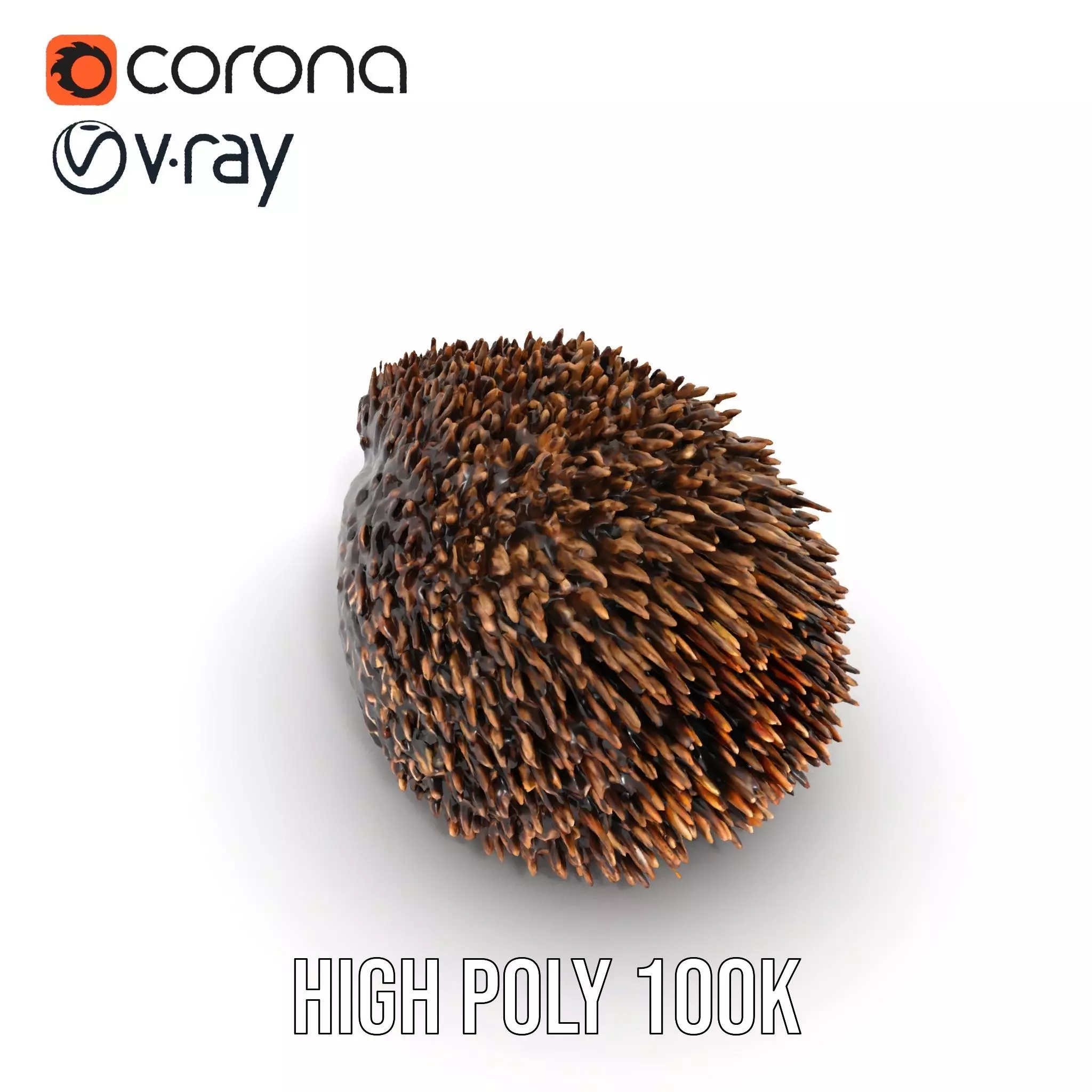 Spiky Echidna model pack Low-poly 3D model_25