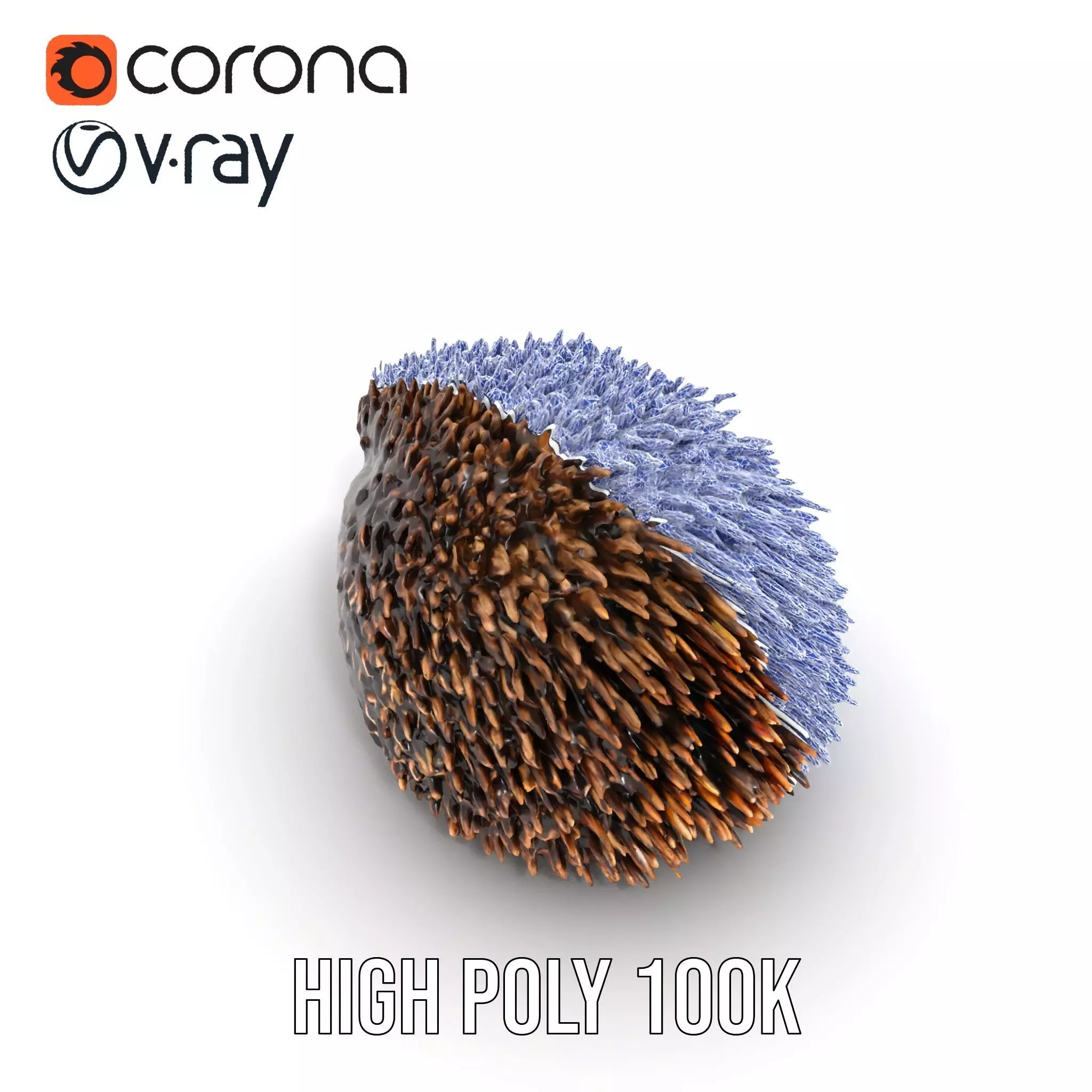 Spiky Echidna model pack Low-poly 3D model_22