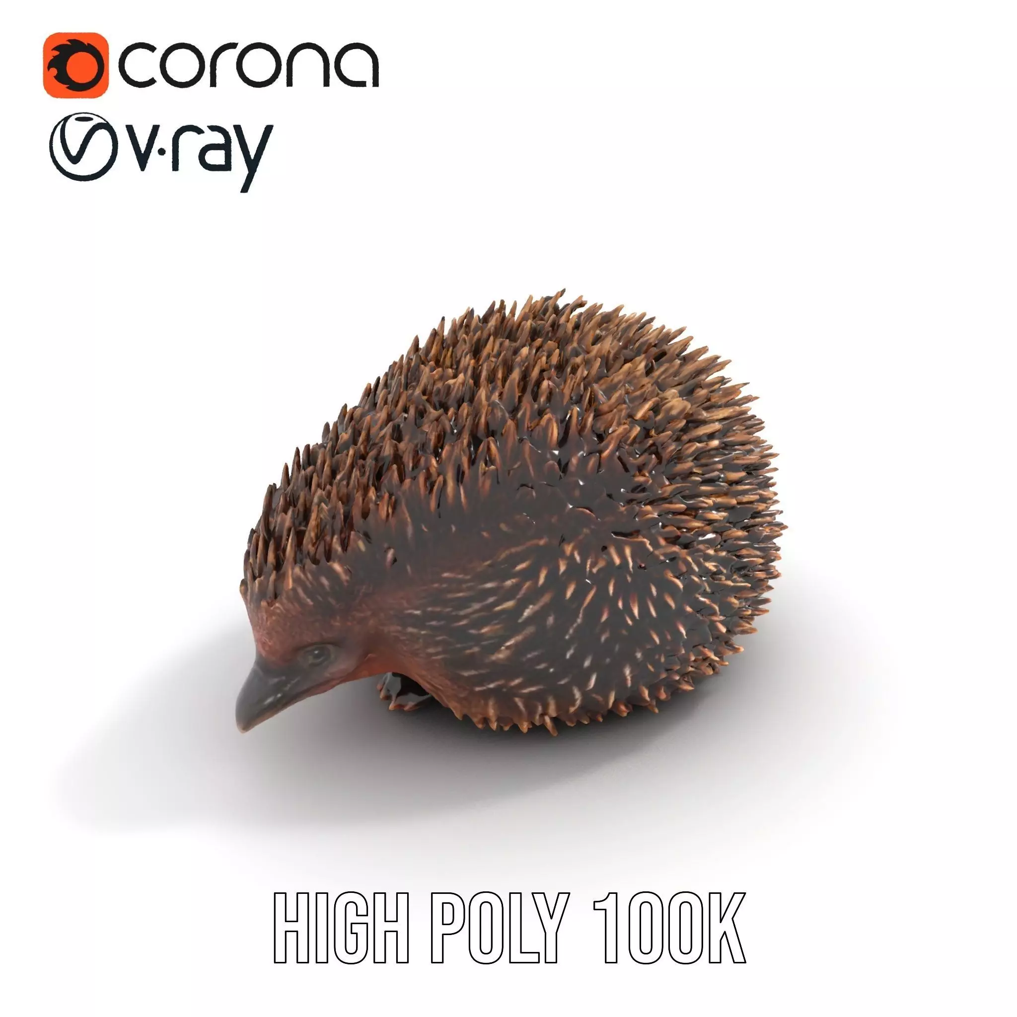 Spiky Echidna model pack Low-poly 3D model_23