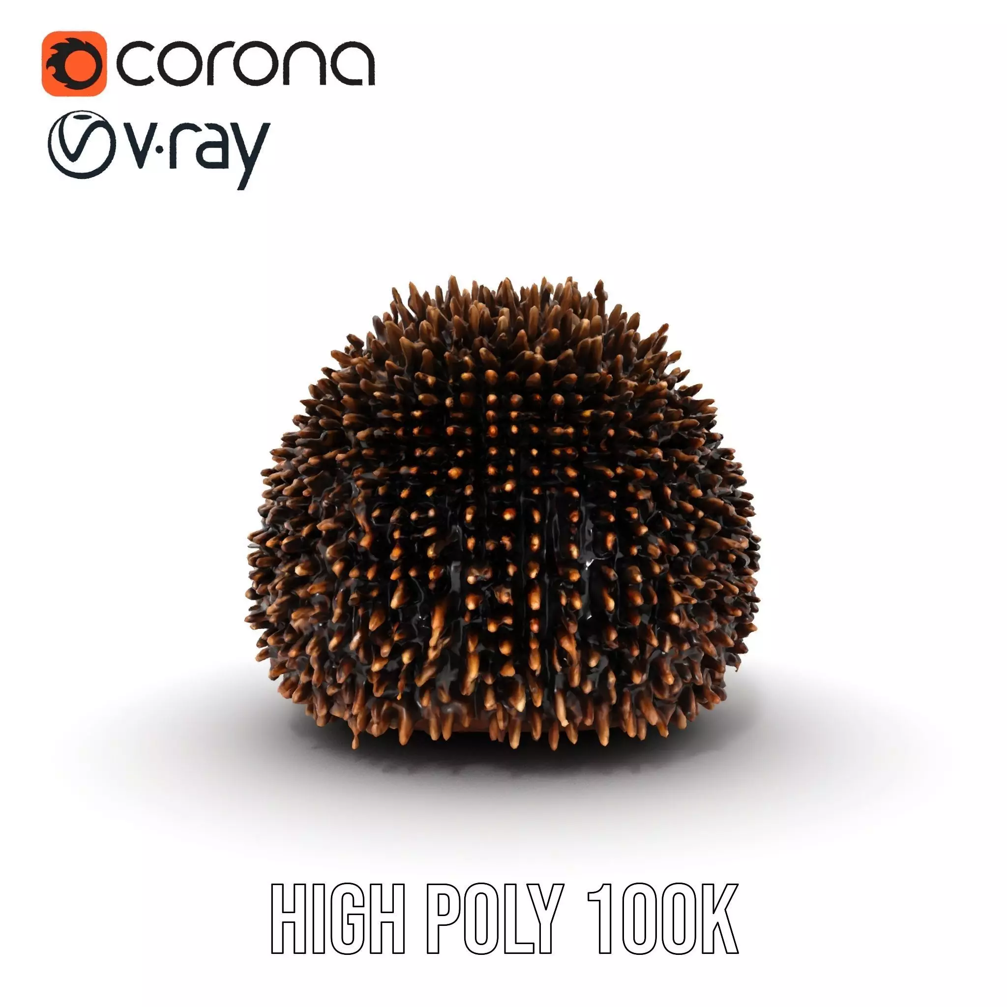 Spiky Echidna model pack Low-poly 3D model_35