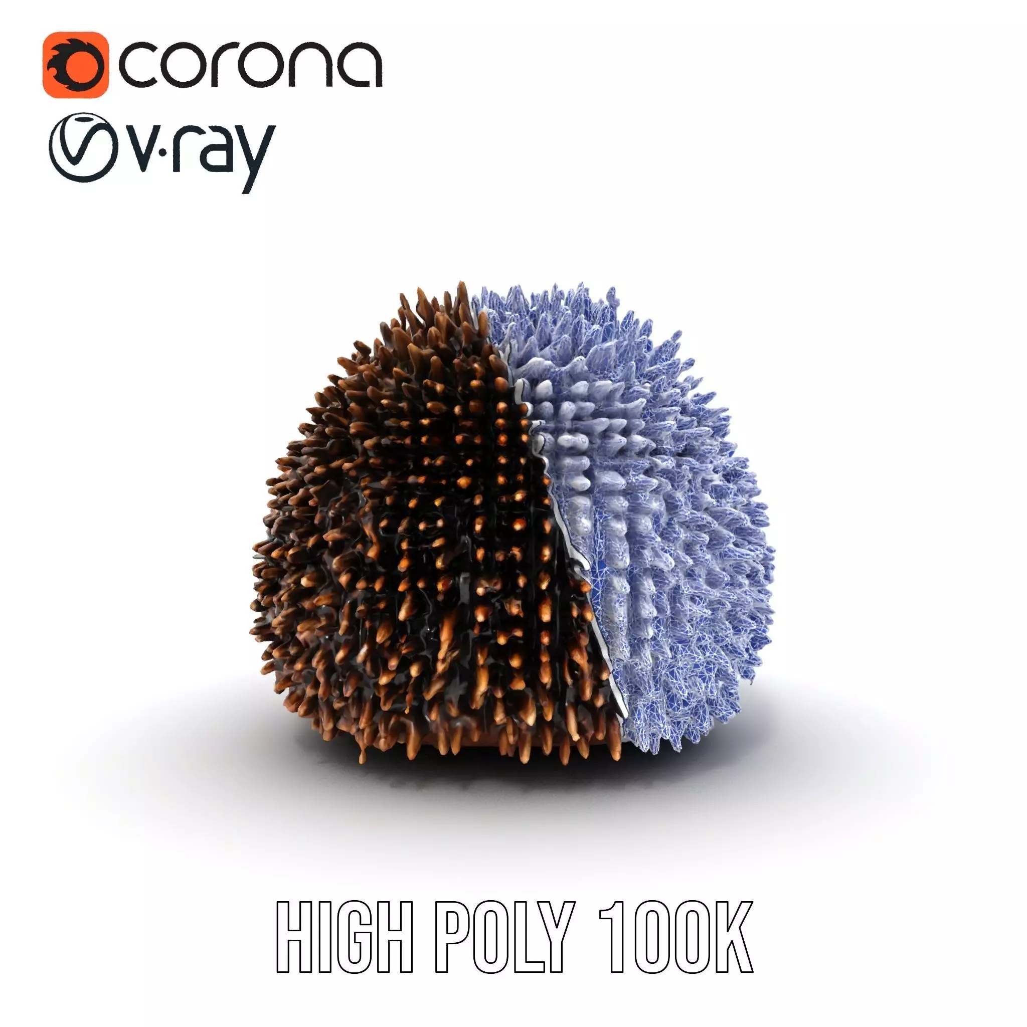 Spiky Echidna model pack Low-poly 3D model_31