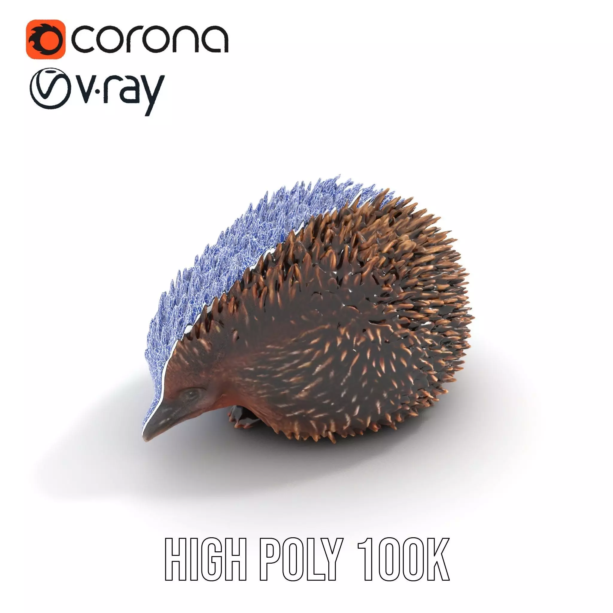 Spiky Echidna model pack Low-poly 3D model_34