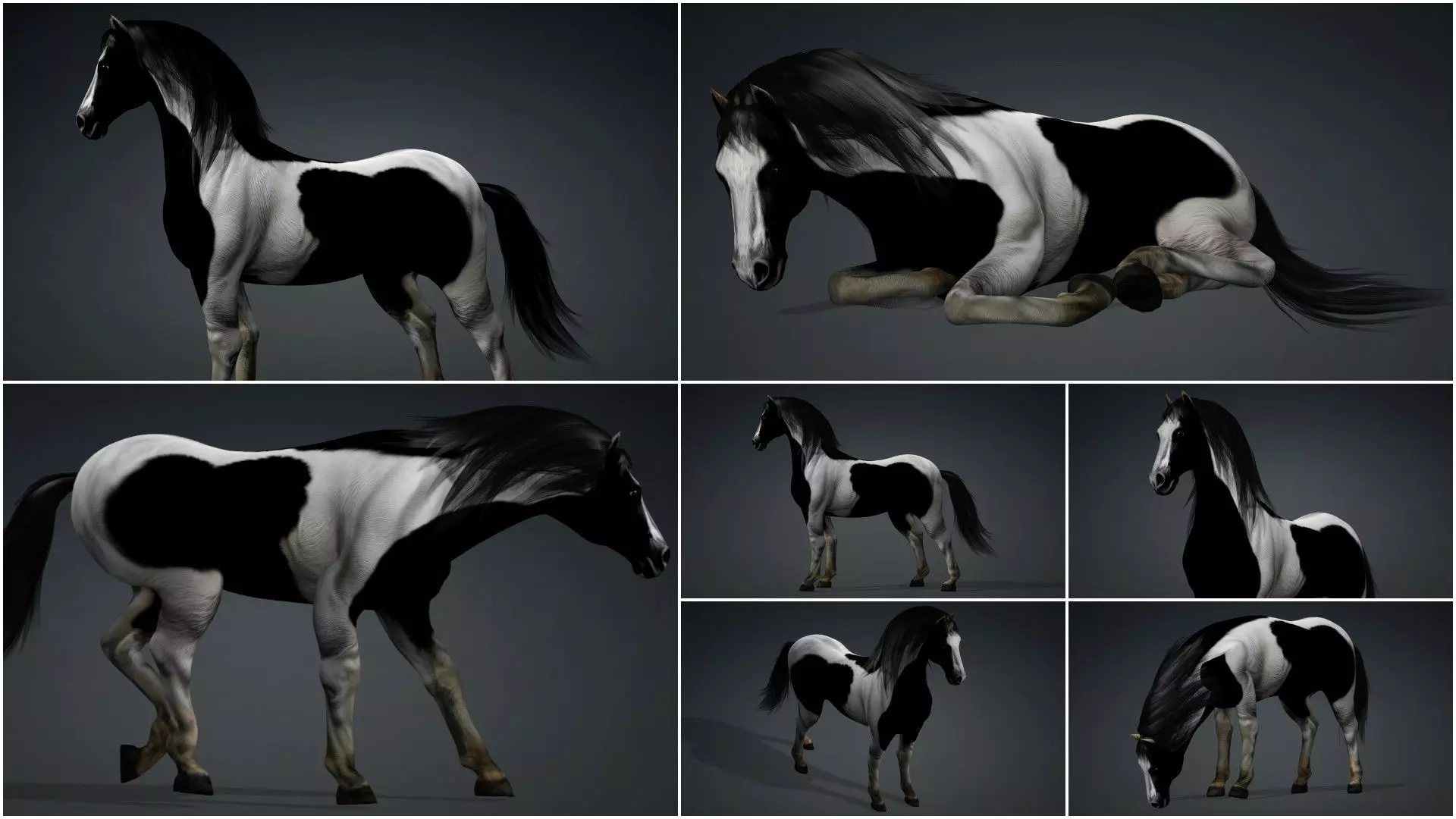 Pack-10 Horse 3D model_6
