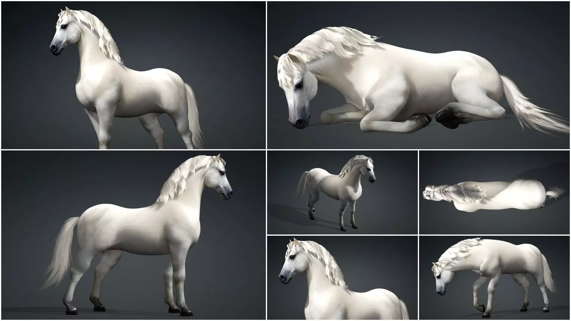 Pack-10 Horse 3D model_42