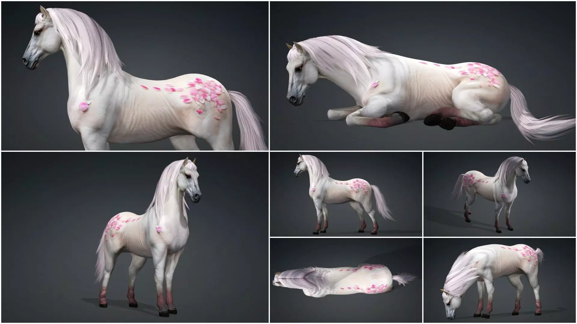 Pack-10 Horse 3D model_36