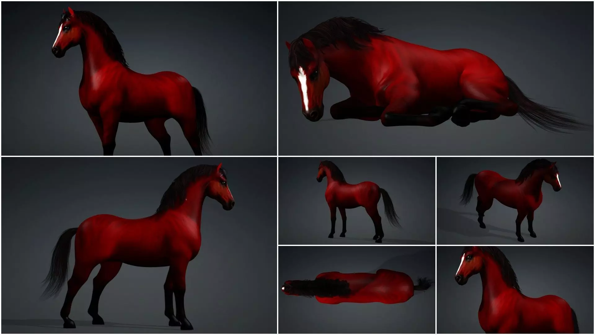 Pack-10 Horse 3D model_44